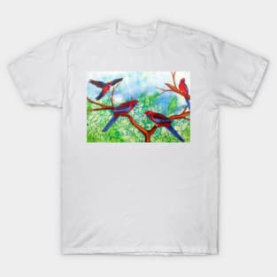 Crimson Rosellas T-Shirt